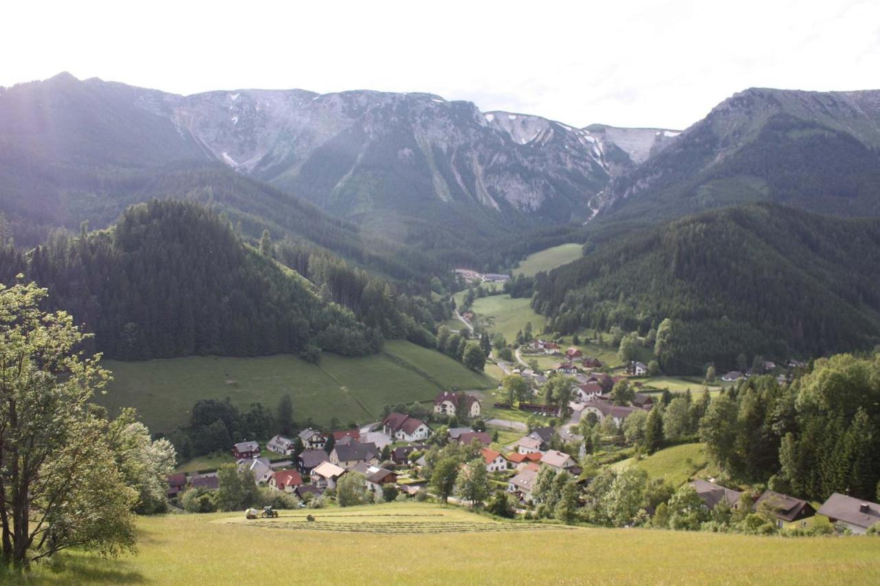 Altenbergerhof Neuberg an der Mürz Extérieur photo